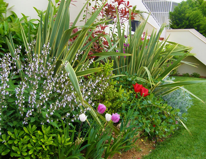 artifila_plants_construction