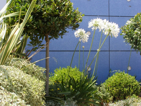 Read more about the article Εγκαταστάσεις Papapolitis SA | ΜΑΡΚΟΠΟΥΛΟ